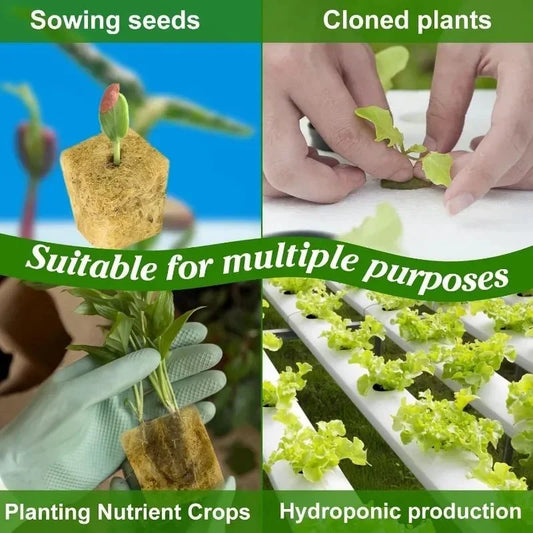 50/100x Stonewool Hydroponic Grow Media Cubes Garden Seedling Block Water Cultivation Seed Sowing Germination Culture Substrate